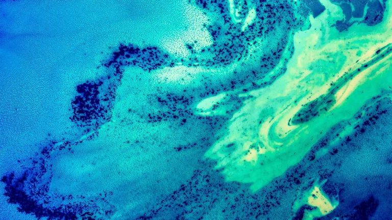 Une flaque qui questionne l'univers