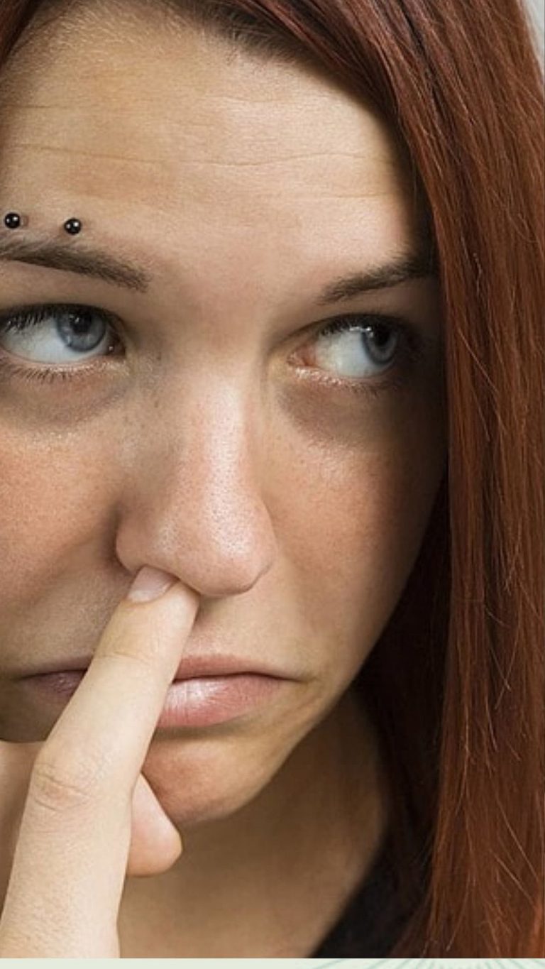 L'anatomie et les fonctions vitales du nez