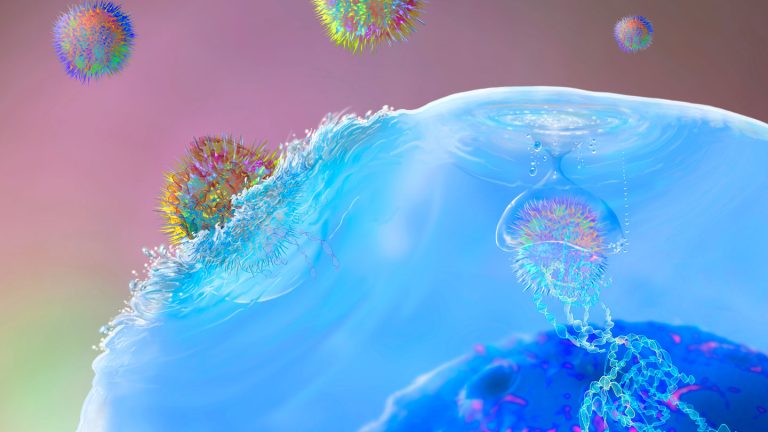 Une réinitialisation du système immunitaire par thérapie CAR-T