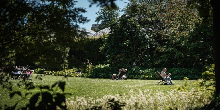 Une vague de chaleur historique pour le sud de la Suède