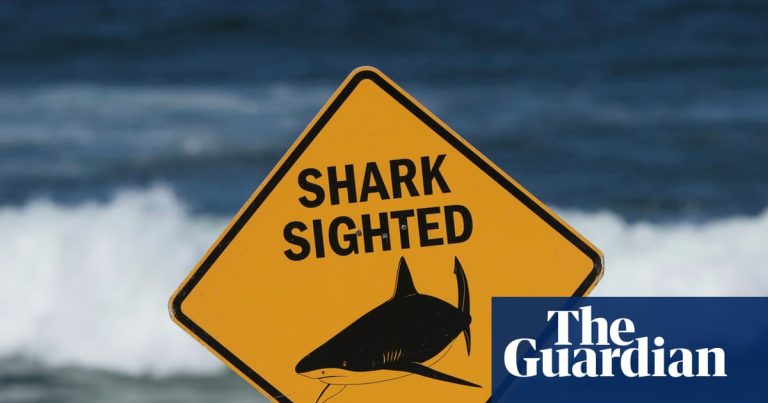 Une attaque "aléatoire" selon les experts : pourquoi Coogee, une zone rare pour les requins blancs