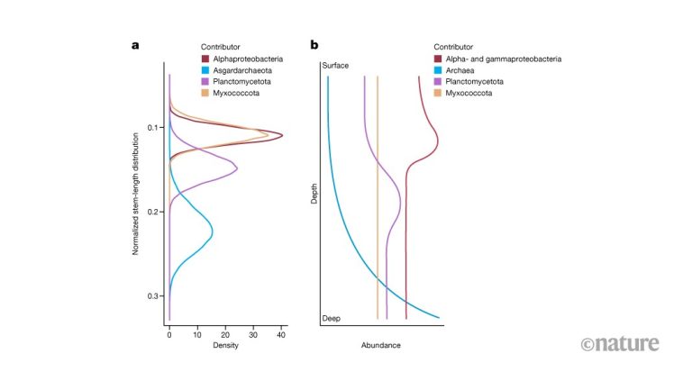 Complexité de l'eucaryogenèse au-delà du modèle binaire