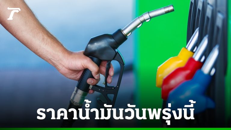 Les prix par marque : comparatif des cinq réseaux majeurs