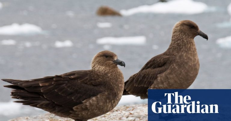 Une menace pour une biodiversité unique