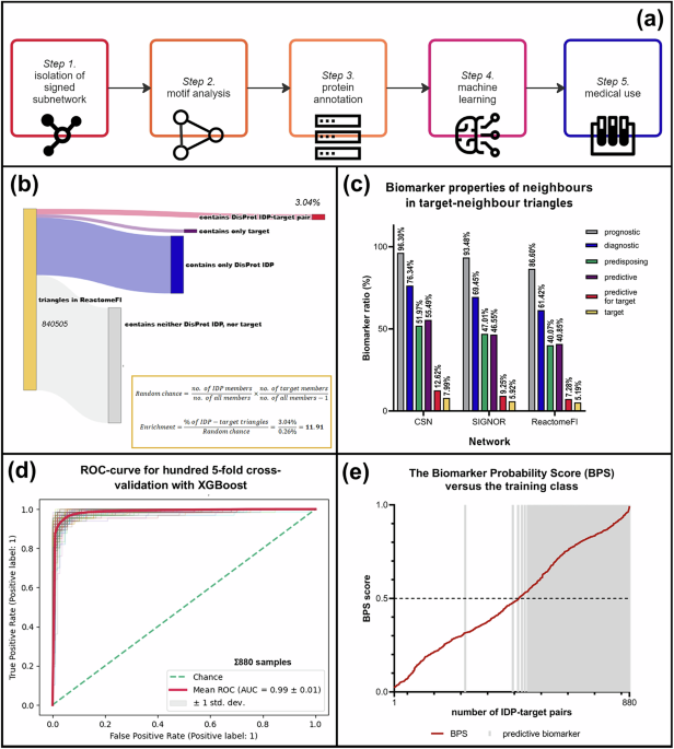 Paananen et Fortino développent des plateformes de découverte de cibles médicamenteuses par intelligence artificielle