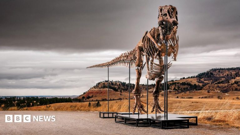 Une découverte majeure au Dakota du Sud