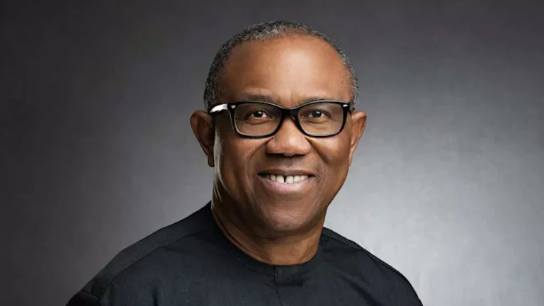 L'alerte de Peter Obi et la riposte du Palais présidentiel