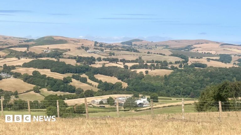 The view from Nantglyn, Denbigshiren of an agricultural landscape covered with parched fields. There is a fence in the