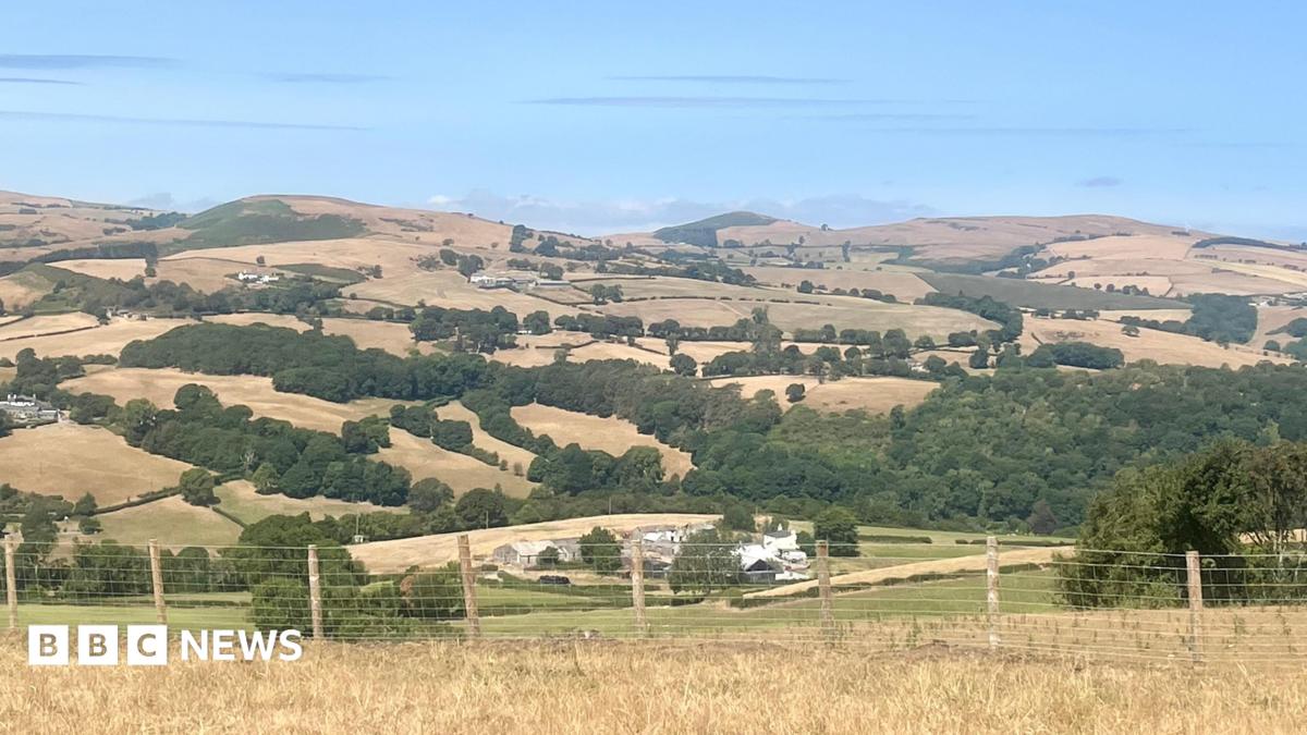 The view from Nantglyn, Denbigshiren of an agricultural landscape covered with parched fields. There is a fence in the