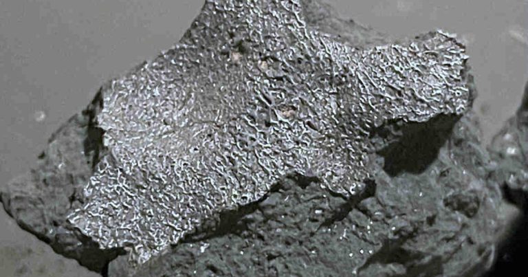 Une récupération exceptionnelle au service de la science