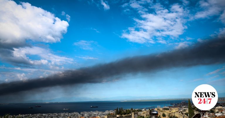 Risques sanitaires et composition du nuage toxique