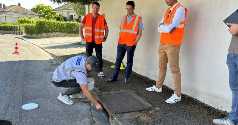 La lutte contre le moustique-tigre en Île-de-France