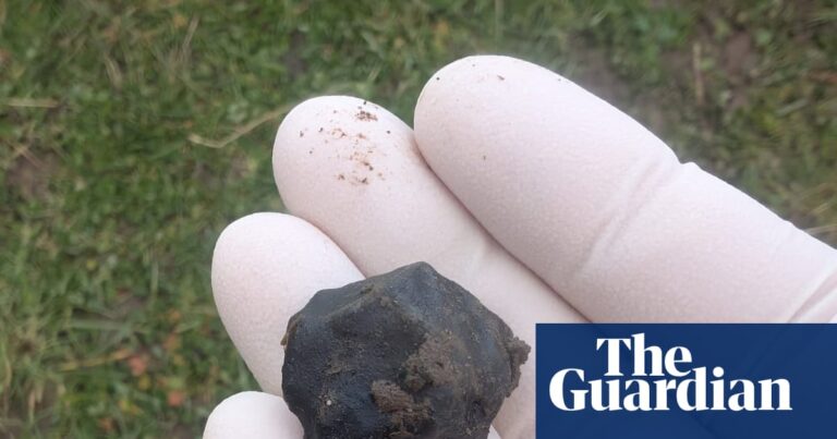 Nouvelle-Zélande : Fireballs Aotearoa découvre le 11e météorite du pays