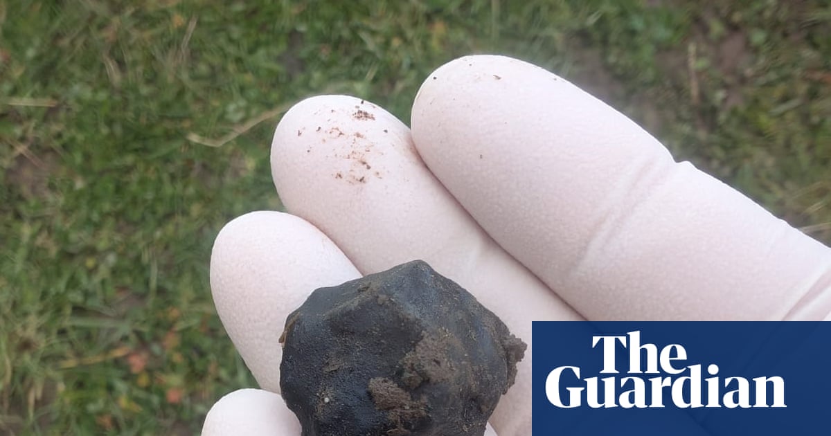 Nouvelle-Zélande : Fireballs Aotearoa découvre le 11e météorite du pays