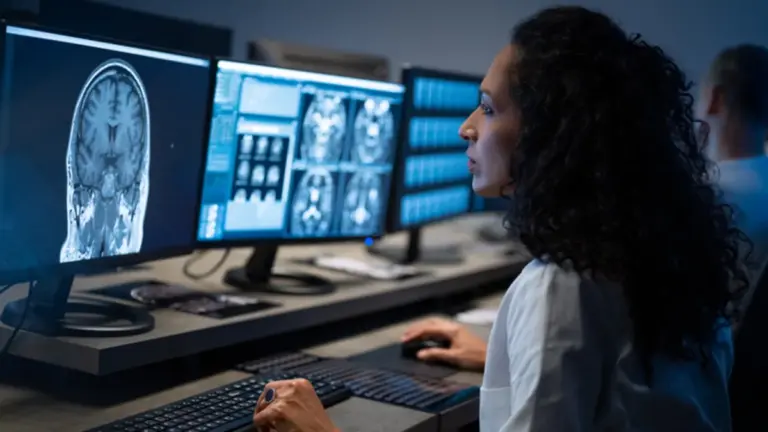 Des Chercheurs Japonais Identifient les Neurones Clés de la Motivation