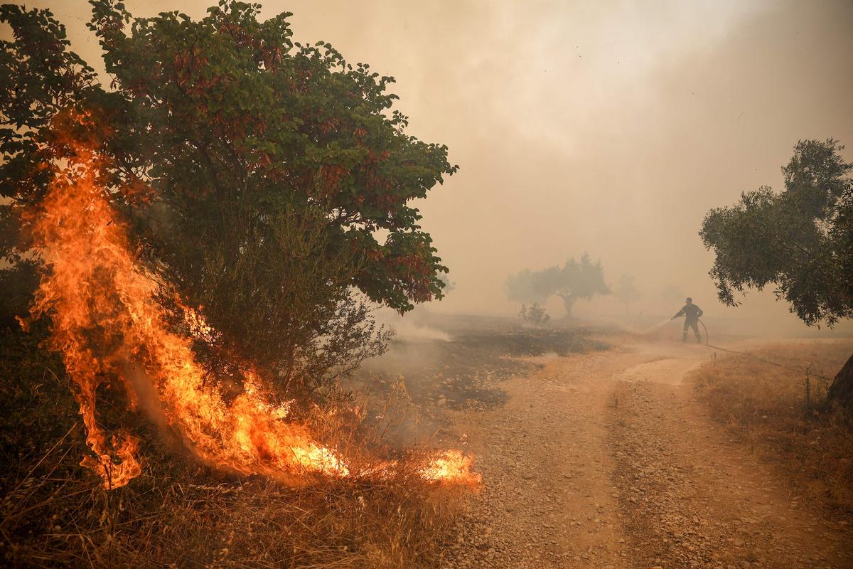 Grèce : Les Pompiers Luttent Contre un Important Feu de Forêt Près d'Athènes