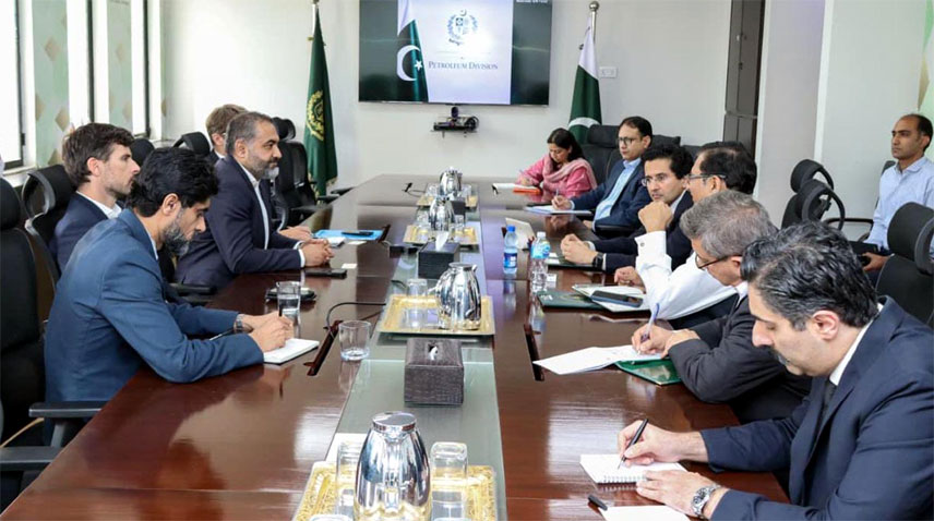 Ali Pervaiz Malik présente des opportunités d'investissement dans l'énergie