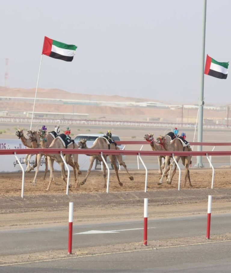 «نور» و«غازي» يتألقان في «الثنايا» بمهرجان العين للهجن