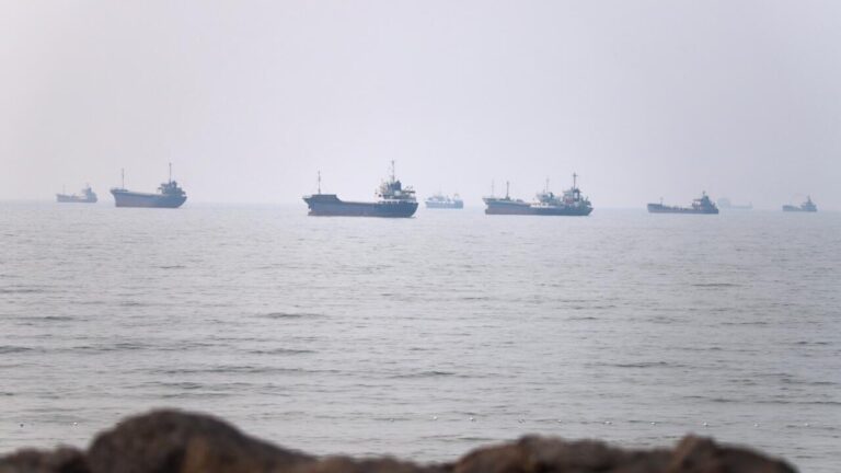 Iran et Oman Finalisent un Accord sur le Transit dans le Détroit d'Ormuz