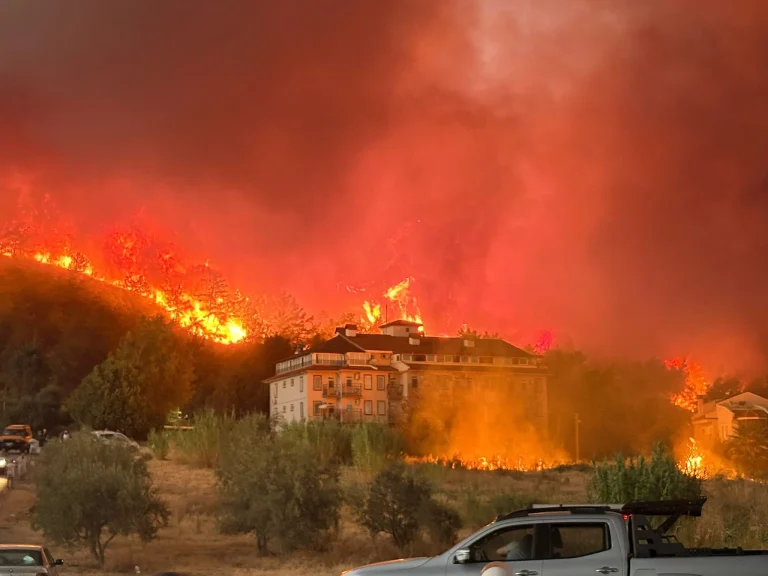 Fethiye : un feu de forêt maîtrisé après l'évacuation de riverains