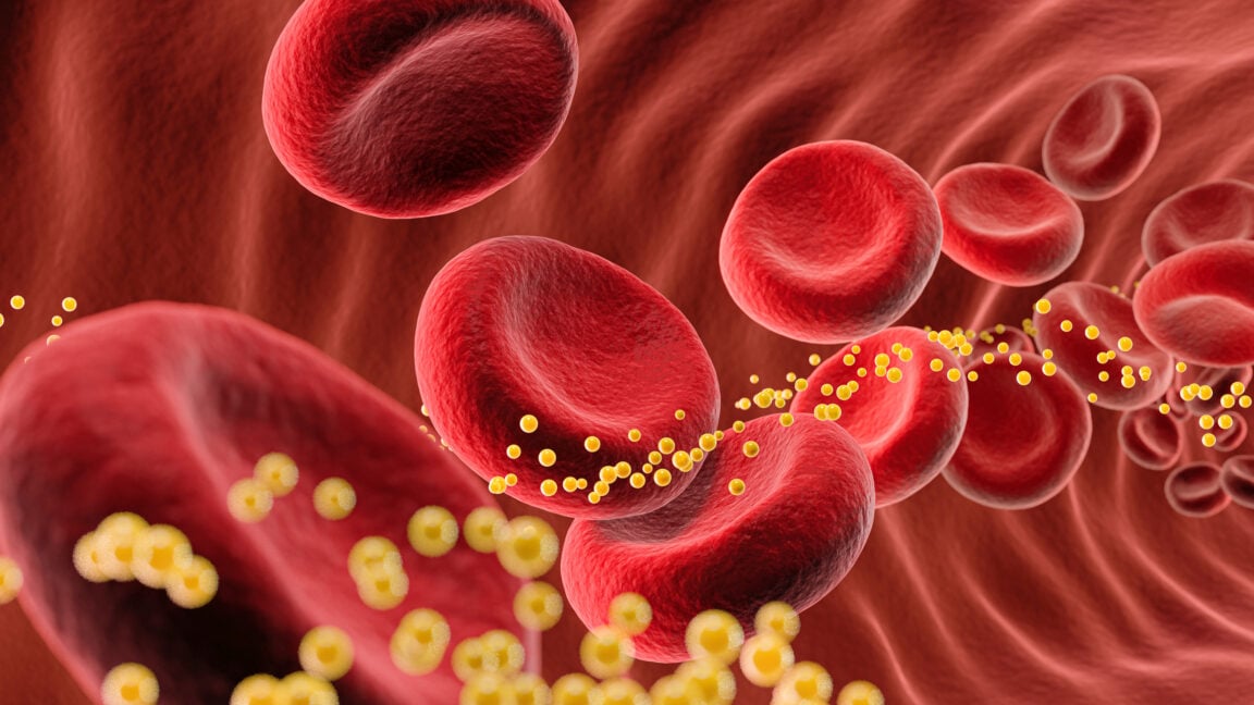 A cartoon of blood cells with cholesterol flowing through a blood vessel