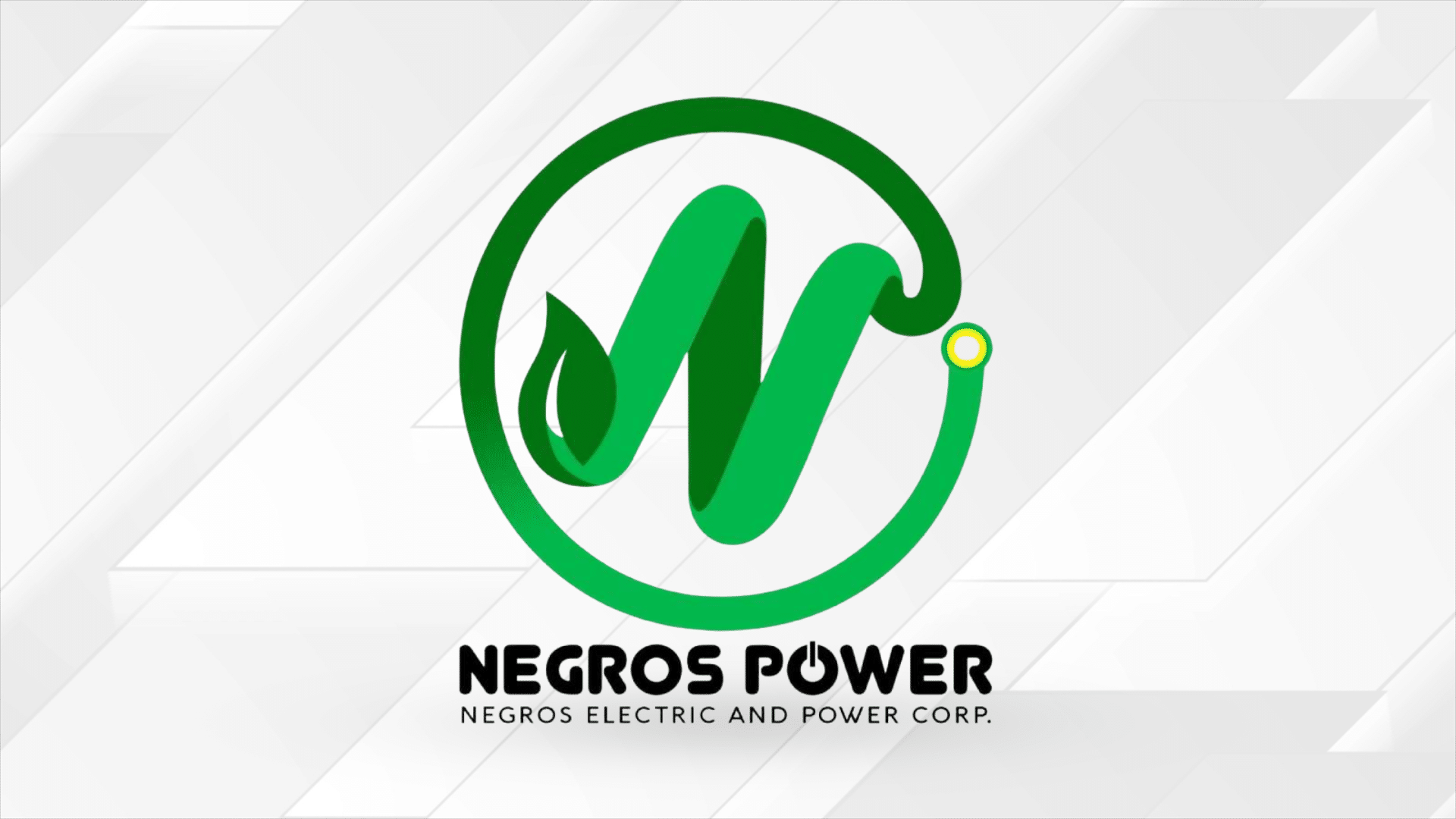 Negros power firm seeks ERC’s go signal to operate