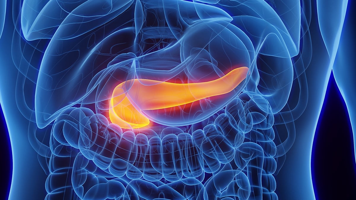 Dulaglutide surclasse l insuline face au diabète lié à la thalassémie