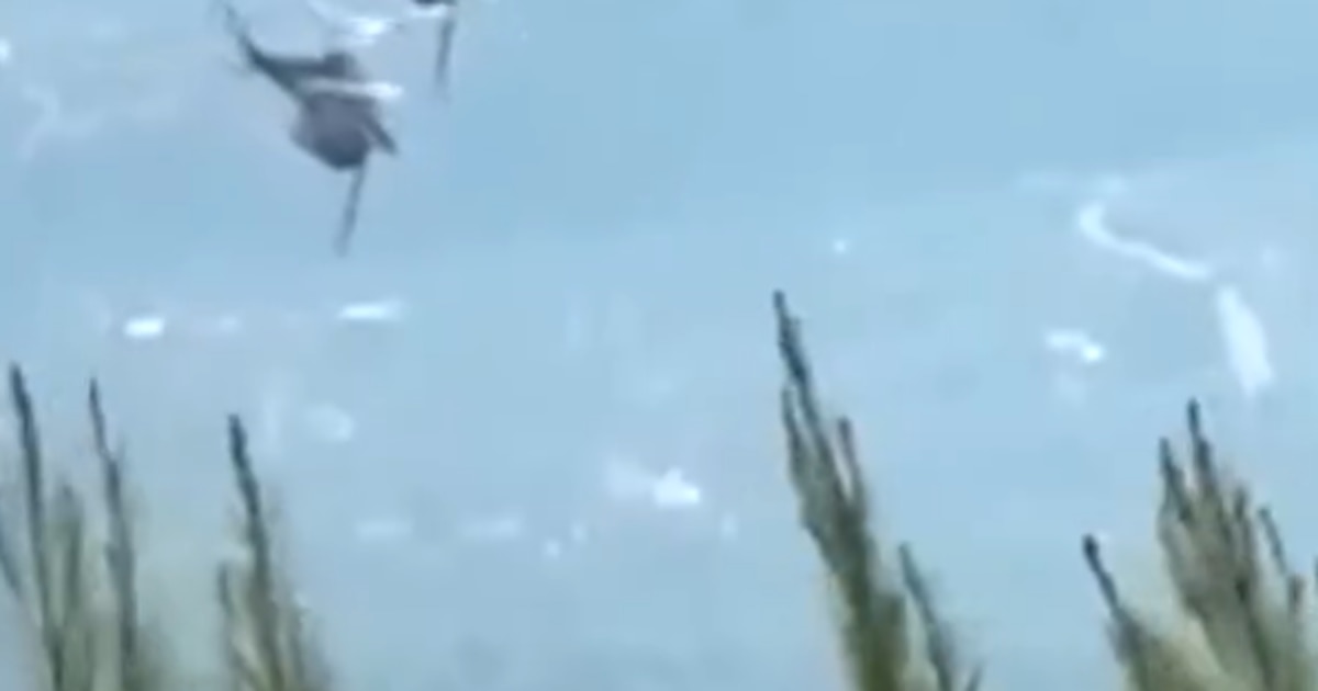 Grèce : Deux Pilotes Tués dans une Collision d'Hélicoptères à Psatha