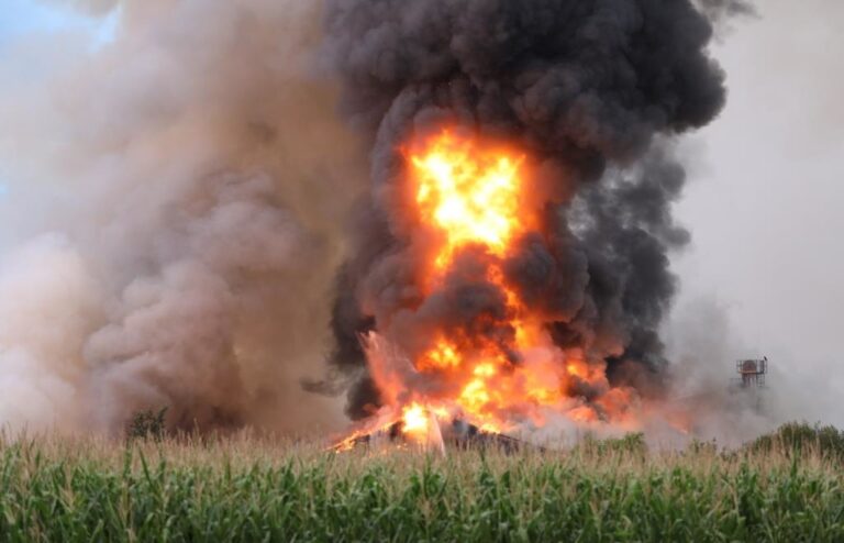 Incendie à Ried : Plus de 1 000 Porcs Périssent dans une Exploitation Agricole
