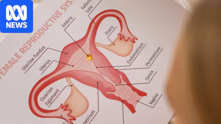 Girl lays on a bed looking at diagram of female reproductive organs