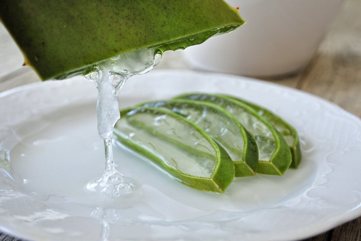 Jus d'aloe vera : bienfaits et précautions à connaître
