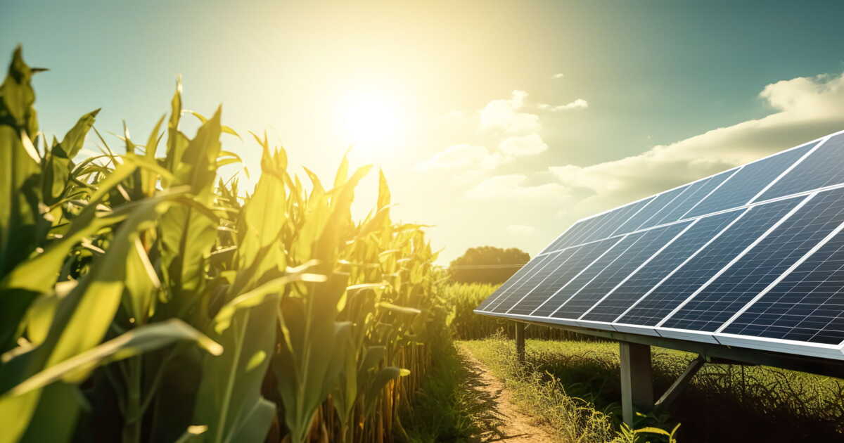 Panneaux solaires : jusqu’à 1 800 euros d’économies par an, mais gare aux installateurs qui vous piègent
