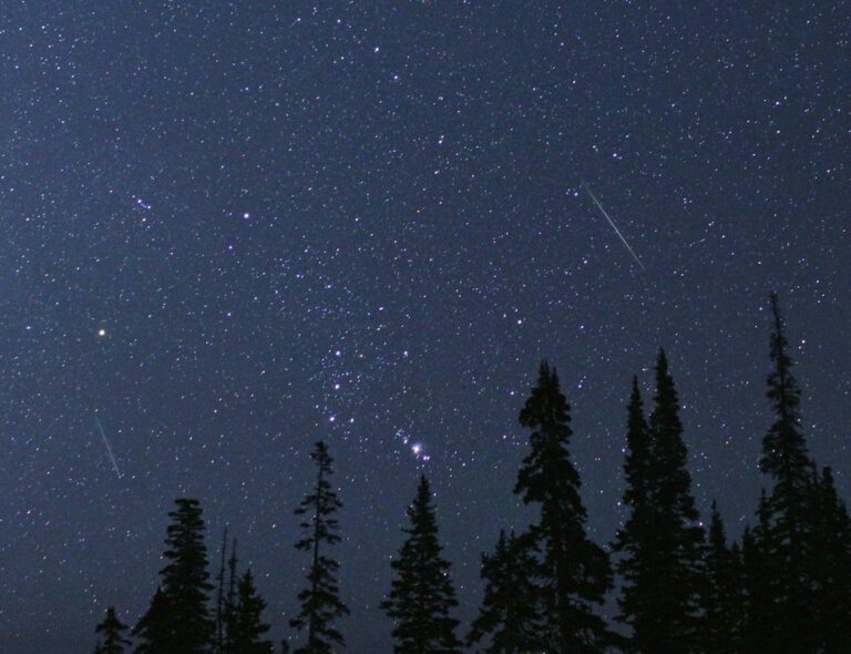 The constellation Orion is framed by two Perseid meteors on Aug. 12, 2018, in Cedar Breaks National Monument, Utah