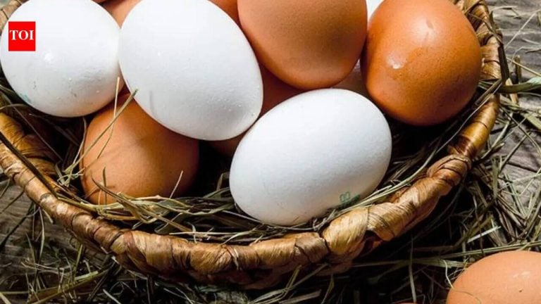Salmonellose au Royaume-Uni : 474 cas confirmés et deux décès dus à une souche unique