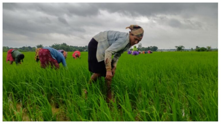 PM-KISAN : L'Inde prolonge le programme d'aide jusqu'en 2031