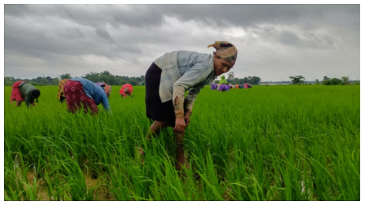 PM-KISAN : L'Inde prolonge le programme d'aide jusqu'en 2031