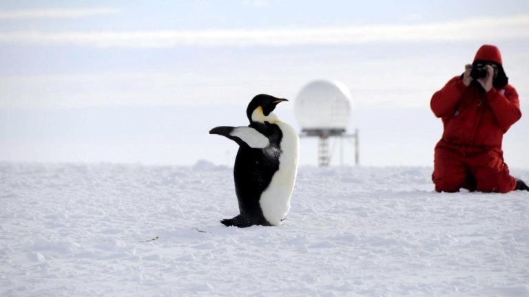 Océan Arctique : le réchauffement menace 60 % des infrastructures côtières