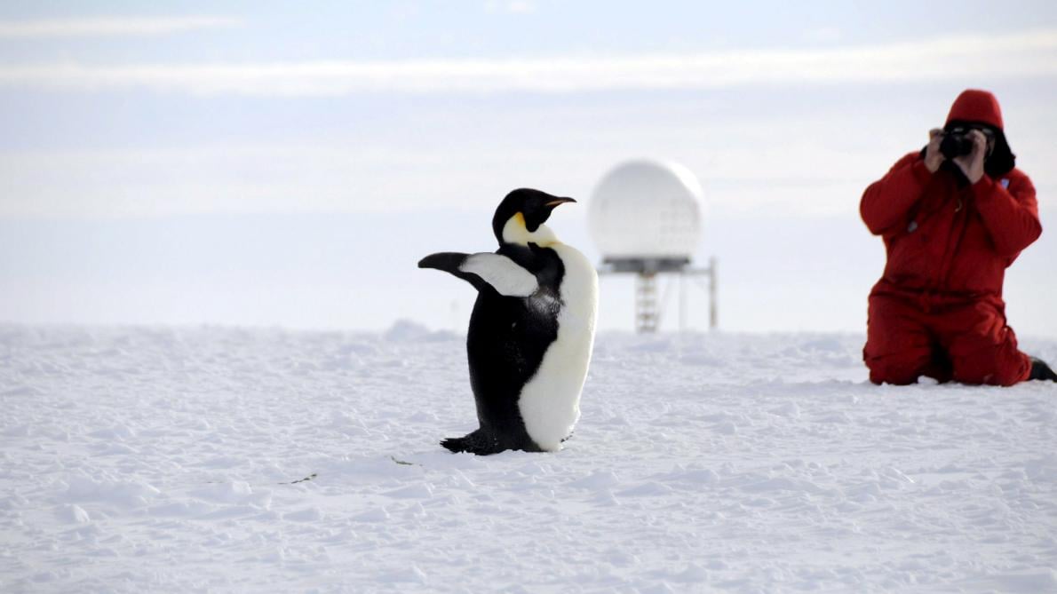 Océan Arctique : le réchauffement menace 60 % des infrastructures côtières