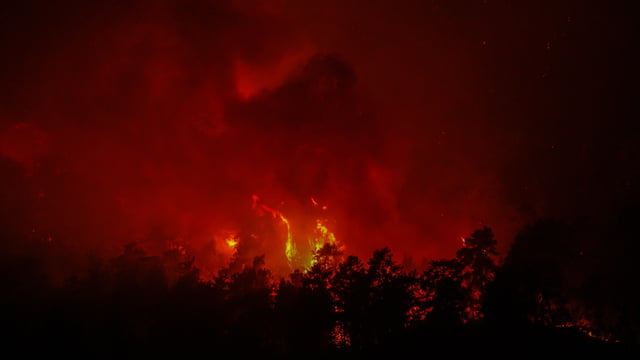 Incendie de forêt à Antalya : évacuations et routes fermées