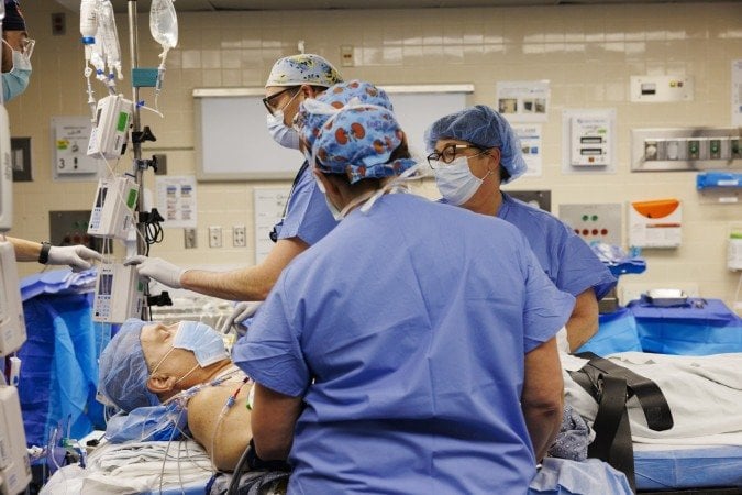 Xénogreffe : Un Patient Survit 271 Jours Avec Un Rein De Porc Aux États-Unis