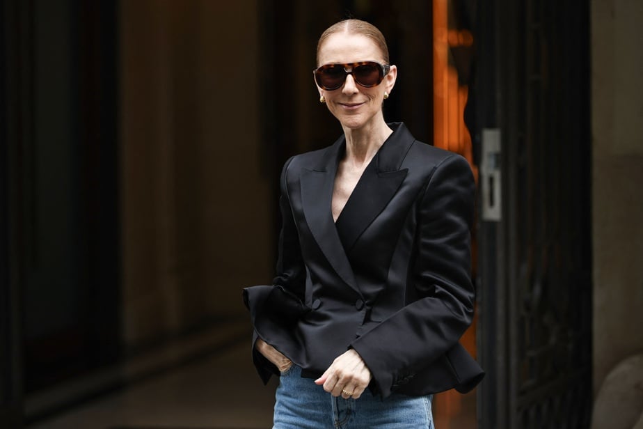 Céline Dion à Paris : des centaines de faux billets rejetés chaque soir