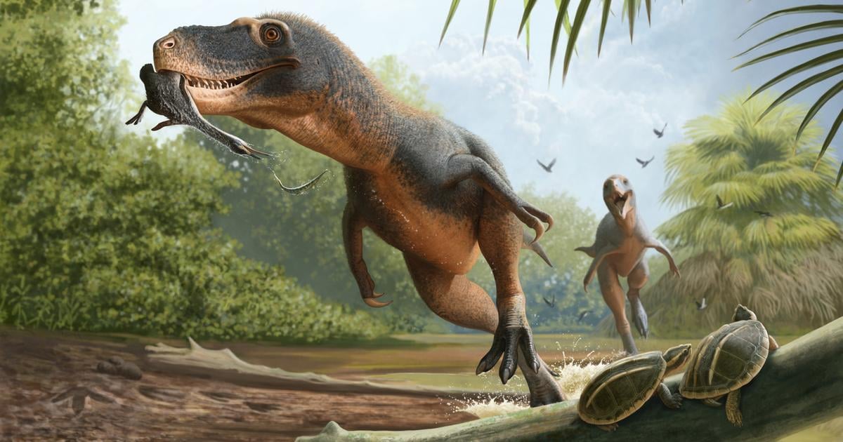 Un oiseau dévoré par un dinosaure il y a 66 millions d’années pourrait révéler les raisons de la survie des oiseaux actuels