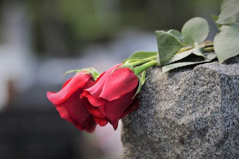 Obsèques d'Eden et Nino ce Mardi à Gy après le Drame Familial en Haute-Saône