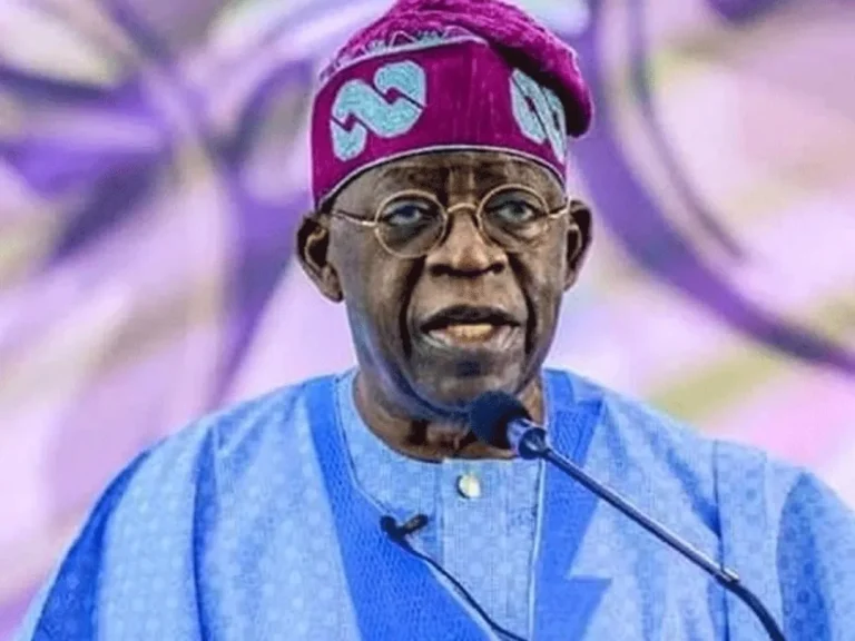 ONU : Le Nigeria et l'Afrique du Sud réclament des sièges permanents