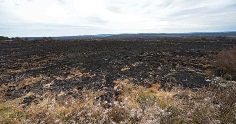 Pompiers limbourgeois de retour dans les Hautes Fagnes pour éteindre les derniers foyers