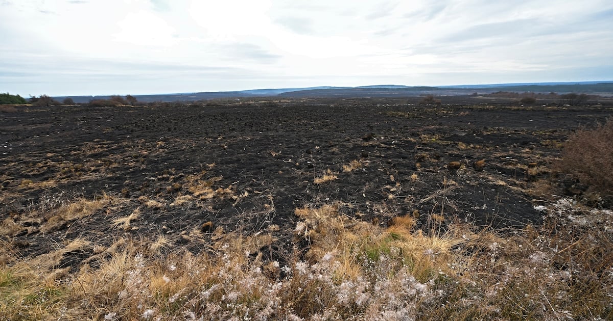Pompiers limbourgeois de retour dans les Hautes Fagnes pour éteindre les derniers foyers