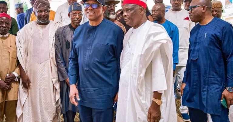 Nigeria Democratic Congress désavoue le conseil de campagne de l OK Movement