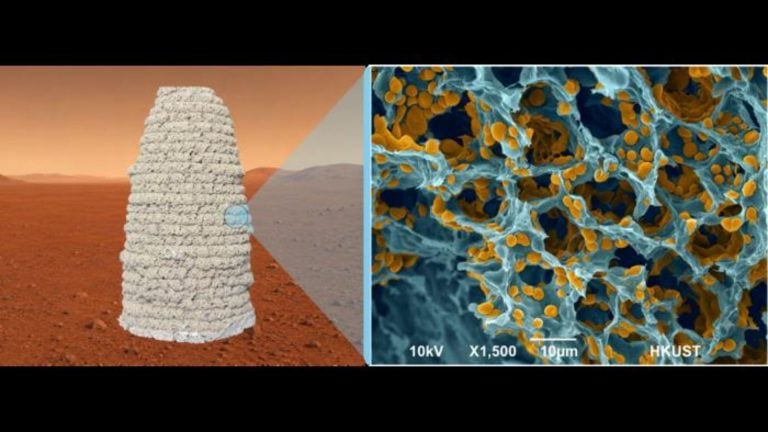 a visualization showing a possible yeast habitat that looks like a conical structure on Mars. On the right, a close up of