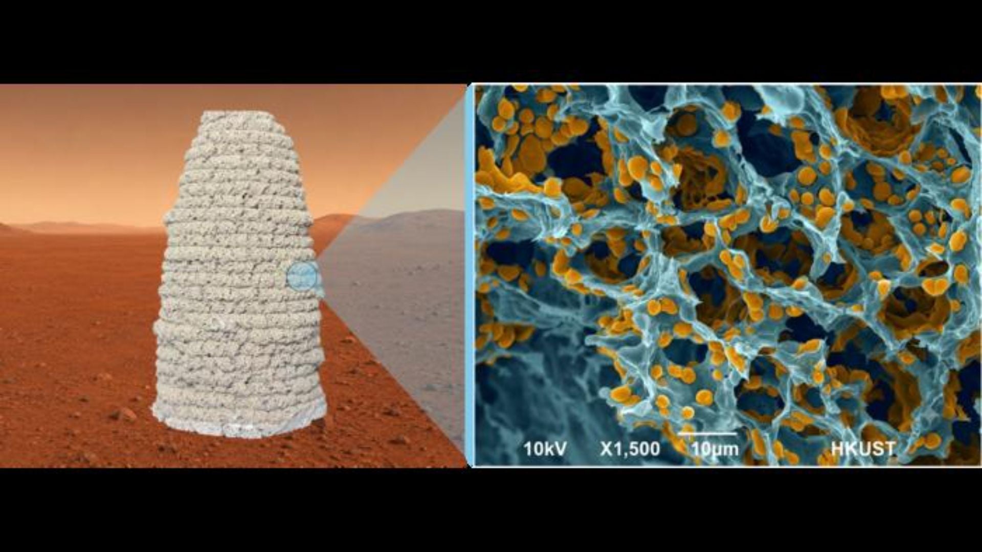 a visualization showing a possible yeast habitat that looks like a conical structure on Mars. On the right, a close up of