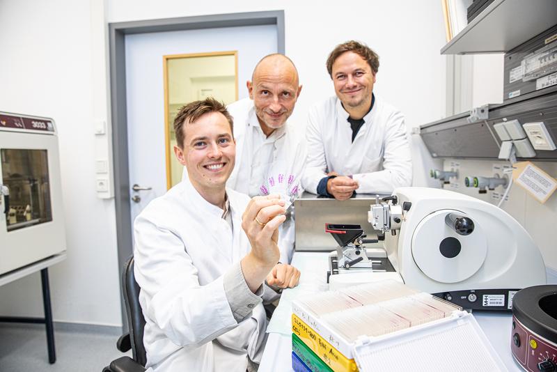 Hannover Medical School : des caillots sanguins guident le flux placentaire